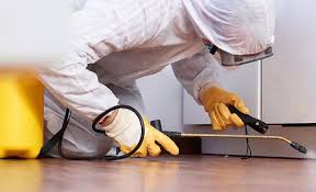 Best Pest Control for Multi-Family Homes  in Carson City, MI